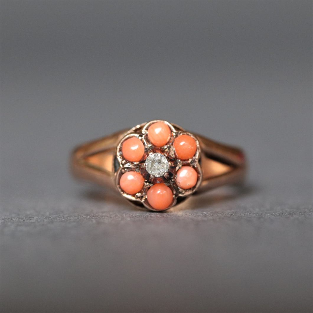 Antique coral ring. Antique cluster ring. Antique coral ring. Antique daisy ring. Antique flower ring. Antique Victorian ring. Coral flower ring. Coral daisy ring. Coral cluster ring. Diamond daisy ring. Diamond cluster ring. Diamond flower ring.